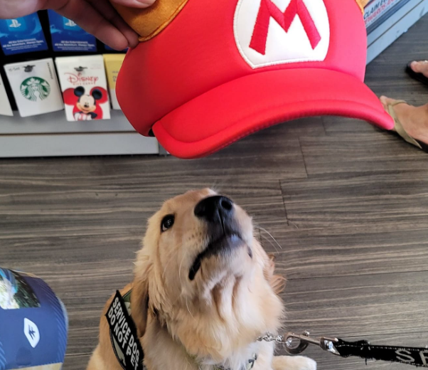 r/GameStop - I just traded in my friend Bobby